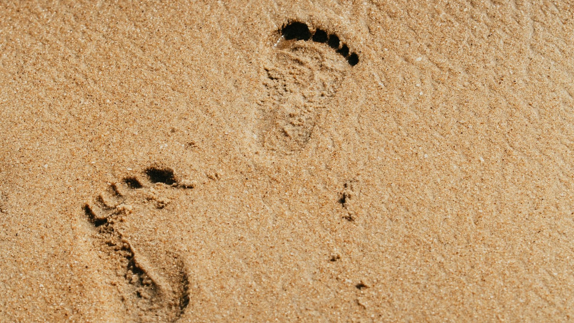 Litoral 2026: diguri noi, nisip dur și șantiere. Cum arată acum stațiunea 2 Mai