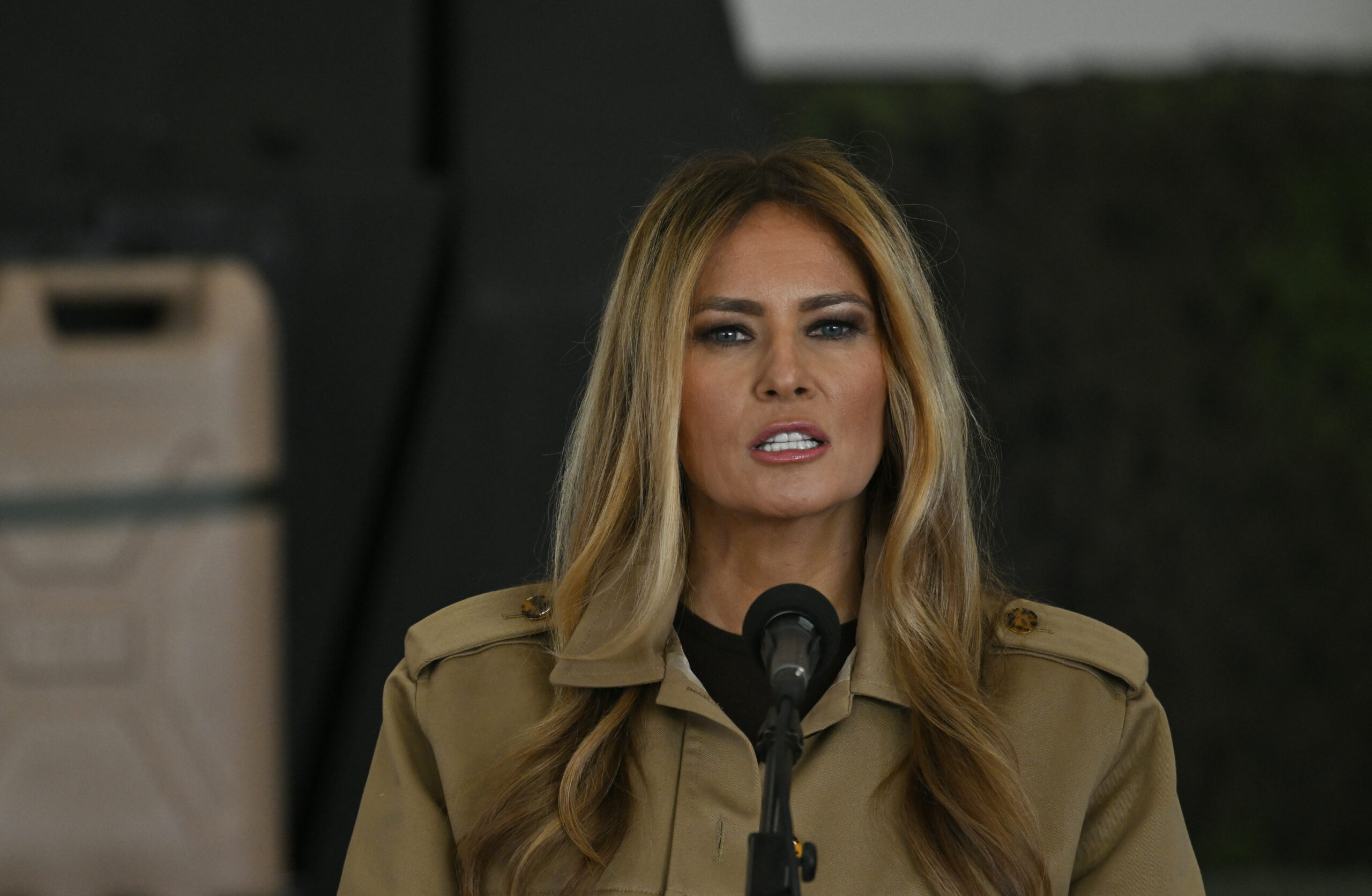 Melania Trump a făcut o declarație la Casa Albă în care neagă legăturile cu Epstein