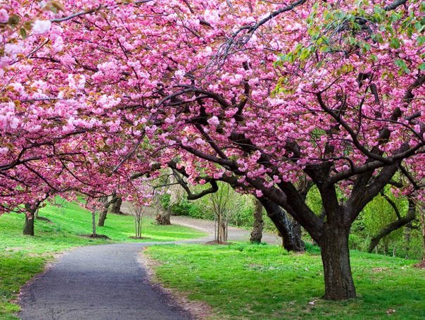 Prognoza pentru 4 săptămâni: Cum va fi vremea în minivacanțele de Paști și 1 Mai