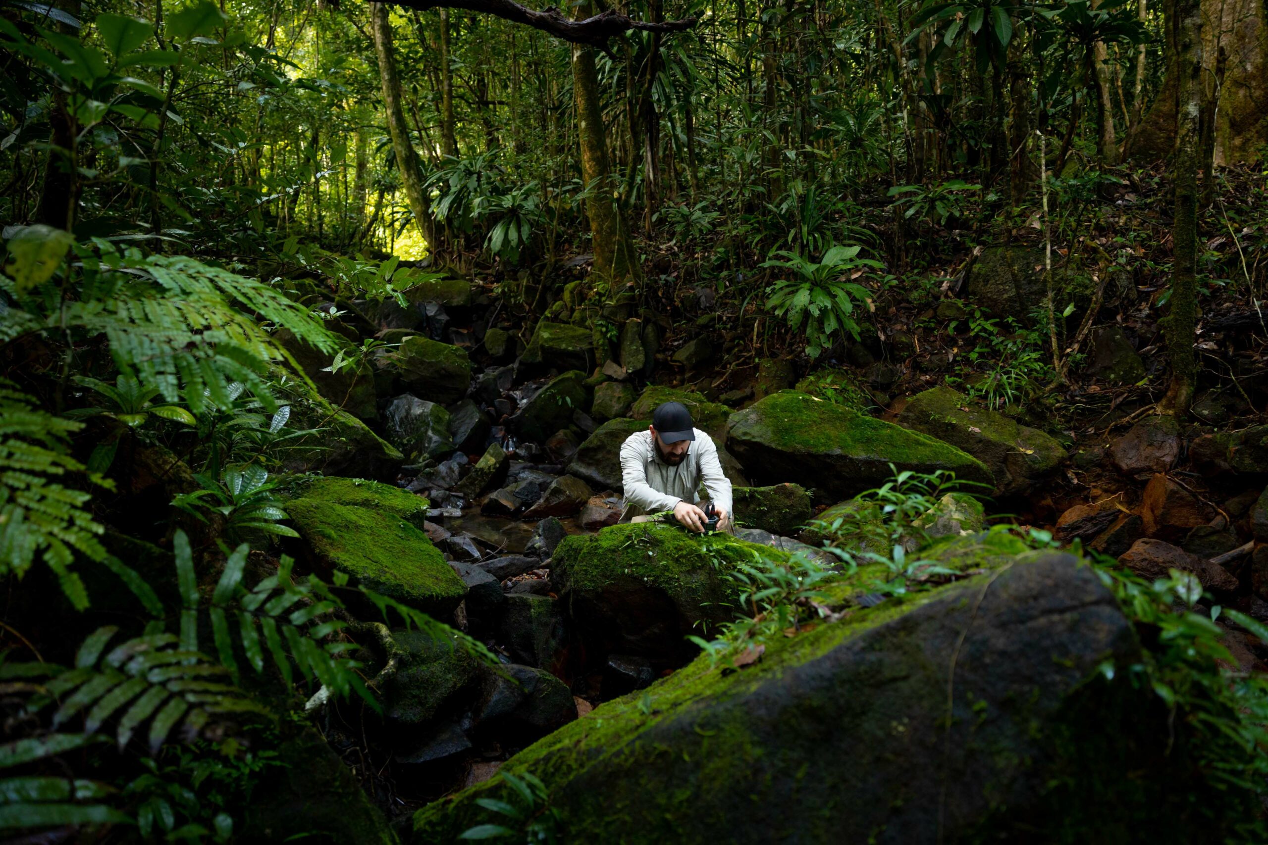 România intră în premieră pe harta globală a sunetelor narturii. Care sunt avantajele pentru economie