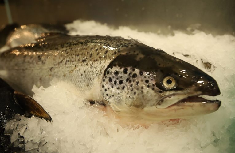 România produce tot mai puţin peşte. Importăm masiv