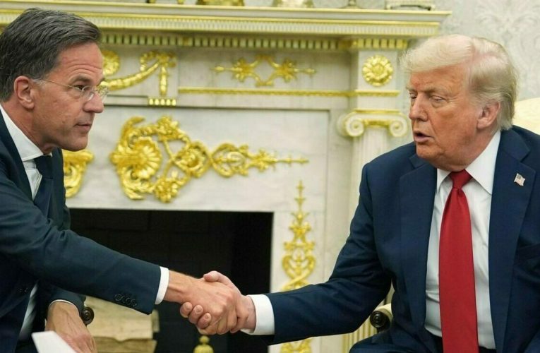 Rutte, după întâlnirea de la Casa Albă: Înțeleg dezamăgirea lui Donald Trump față de aliați. „NATO există pentru siguranța Europei, dar și ca platformă de proiecție a puterii SUA”