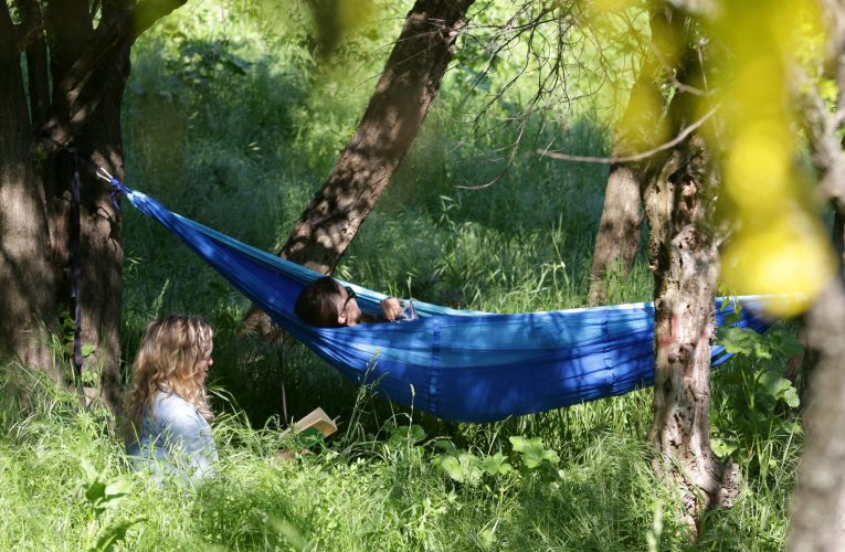 Școala care aduce bani / Cum poți câștiga, ca elev, mii de euro la un concurs despre natură