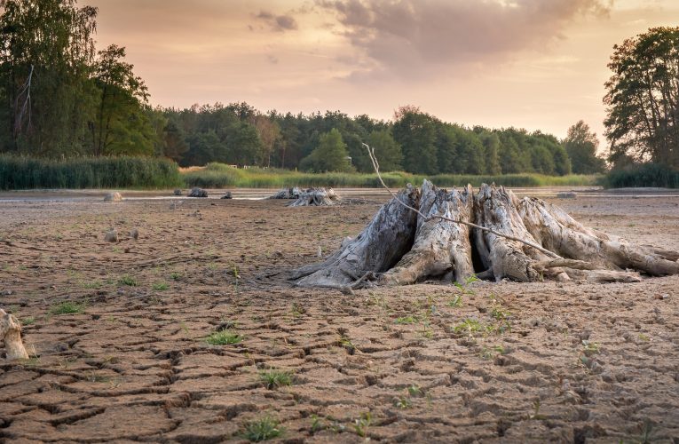 Secetele constituie un mediu propice pentru dezvoltarea bacteriilor rezistente la antibiotice