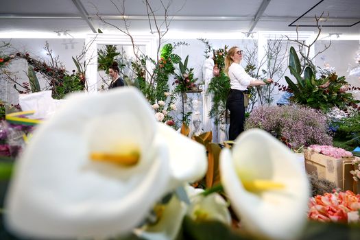 Simfonia Lalelelor aduce la Pitești florari din toată țara