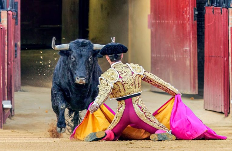 Tragedie în Spania: Fost toreador, ucis de un taur în culisele arenei din Málaga