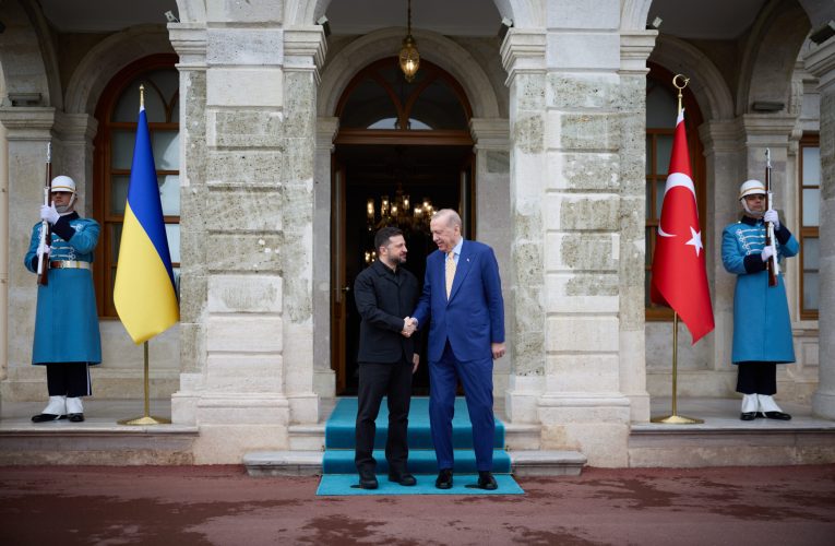 Zelenski și Erdogan au discutat la Istanbul despre o cooperare mai strânsă în domeniul securității