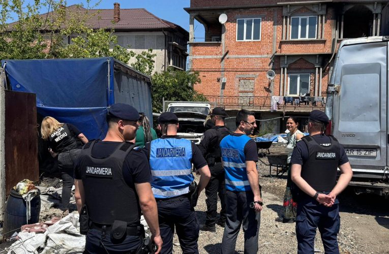 33 de tone de deșeuri confiscate și activități suspendate în urma controalelor Gărzii de Mediu în zona Sintești-Jilava