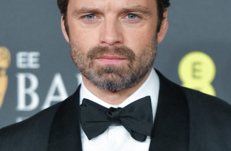 Actorul Sebastian Stan, despre întoarcerea la rădăcinile românești cu „Fjord”: Filmul a fost ca o reuniune pentru mine