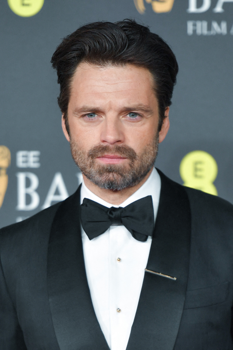 Actorul Sebastian Stan, despre întoarcerea la rădăcinile românești cu „Fjord”: Filmul a fost ca o reuniune pentru mine