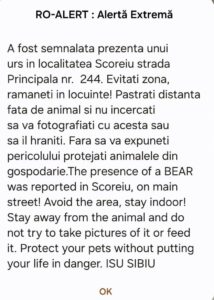 Alertă de urs în județul Sibiu. Autoritățile au emis mesaj RO-Alert pentru populație