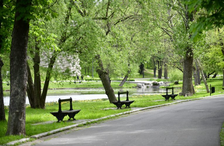 Copacii combat jumătate din încălzirea urbană a lumii, dar nu și în locurile care au cea mai mare nevoie de ea
