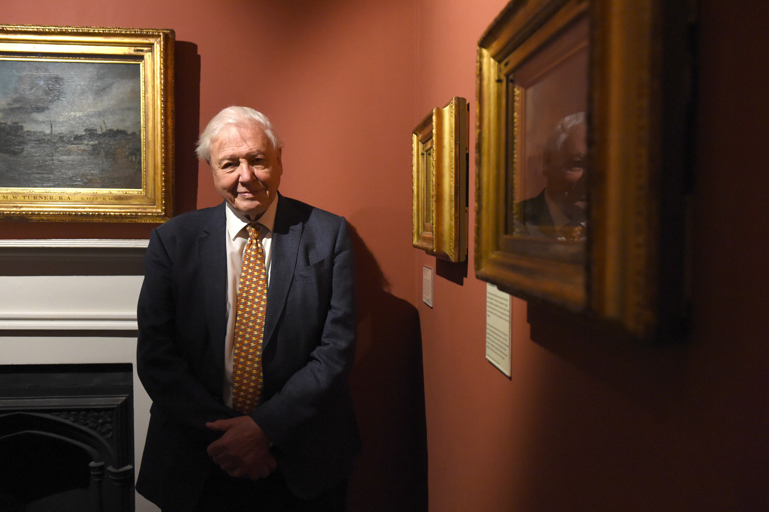 David Attenborough, simbol al documentarelor despre viața sălbatică, împlinește 100 de ani