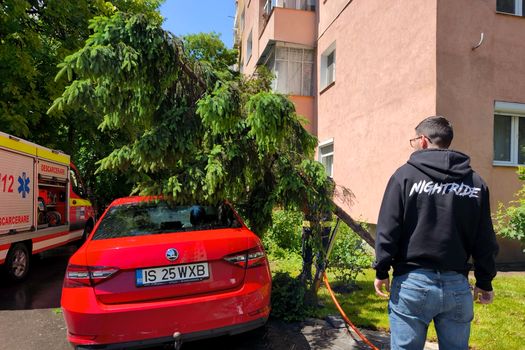 Furtuna a făcut prăpăd în Iași. Un copac s-a prăbușit peste un autoturism