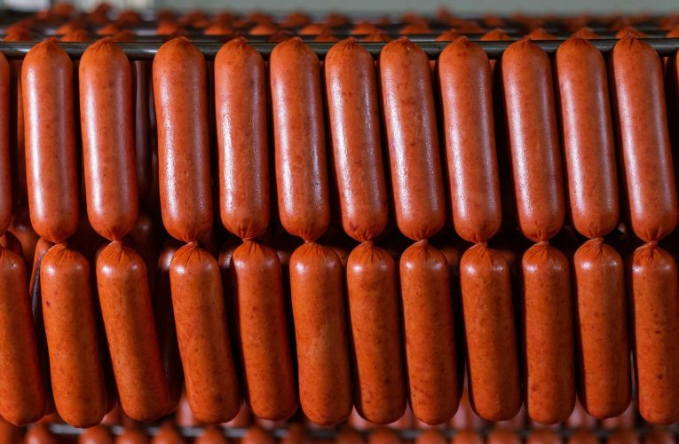 Importurile de carne din Brazilia, interzise în UE din luna septembrie, în pofida acordului Mercosur