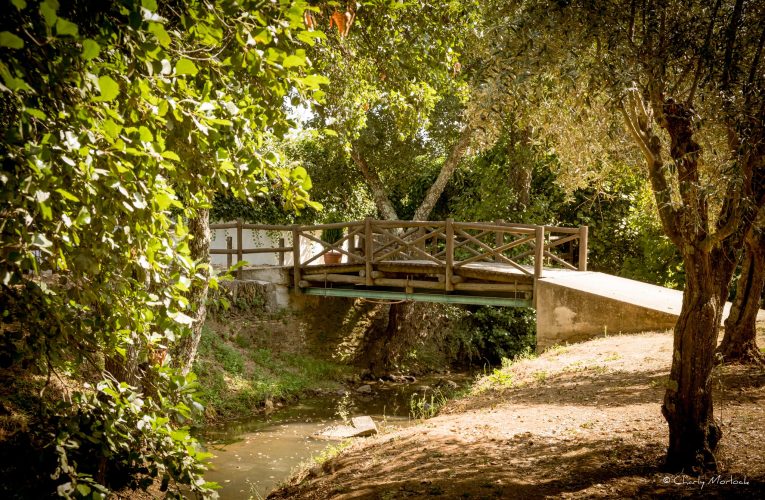 În Europa există un loc unde „călătoria în timp” pare reală. În câteva secunde ajungi într-o altă țară și într-un alt fus orar