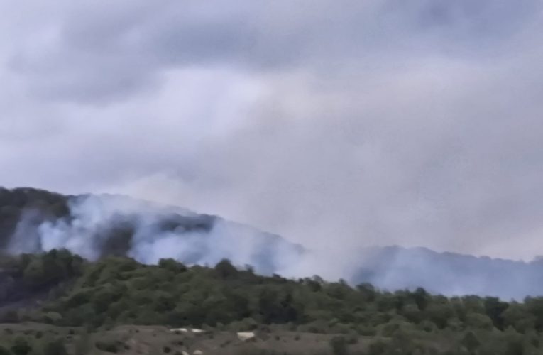 Incendiu de vegetație în Caraș-Severin. Elicopter Black Hawk, trimis să stingă focarele din Slatina-Timiș