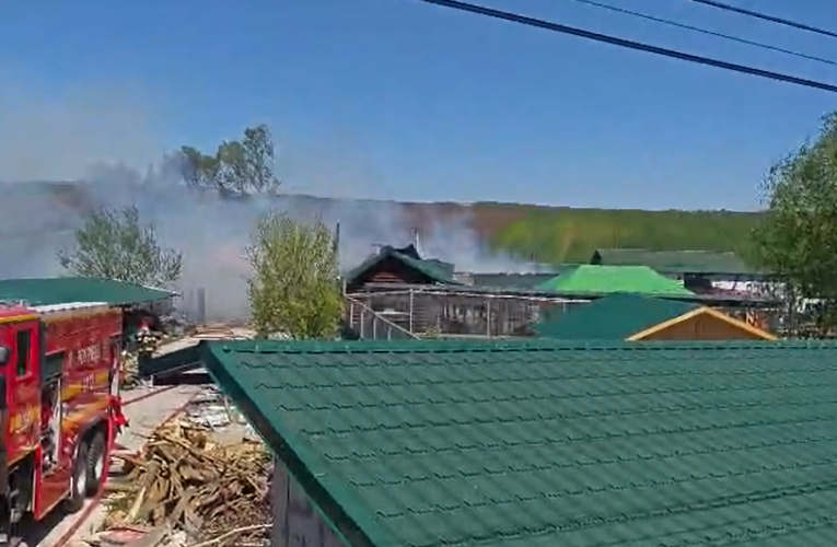 Incendiu la o grădină zoologică din Suceava. Animale salvate din flăcări, două exemplare au murit