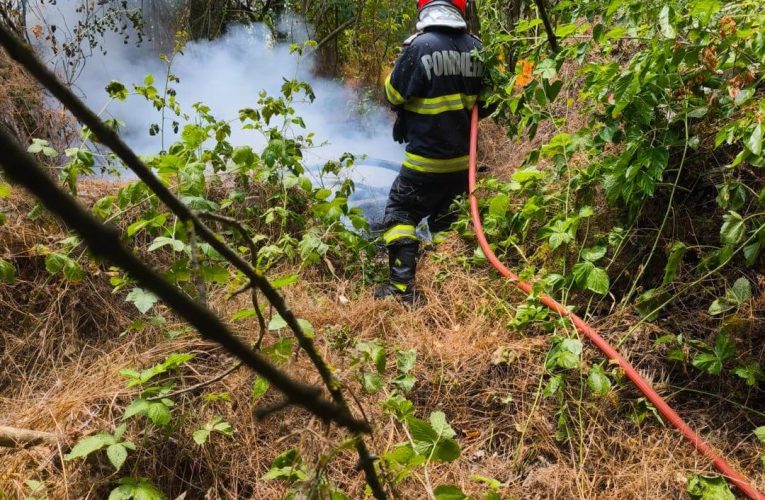 Incendiul de pădure din Caraș-Severin: încă un focar a izbucnit