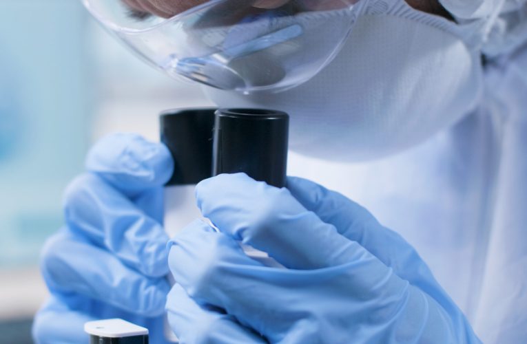 INSP: Hantavirusul, raportat în România în câteva cazuri. Virus ul se transmite la om prin inhalarea particulelor provenite de la rozătoare