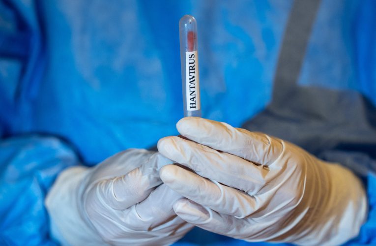 Institutul Cantacuzino, despre cazul de hantavirus din România: Nu are legătură cu focarul de la bordul navei