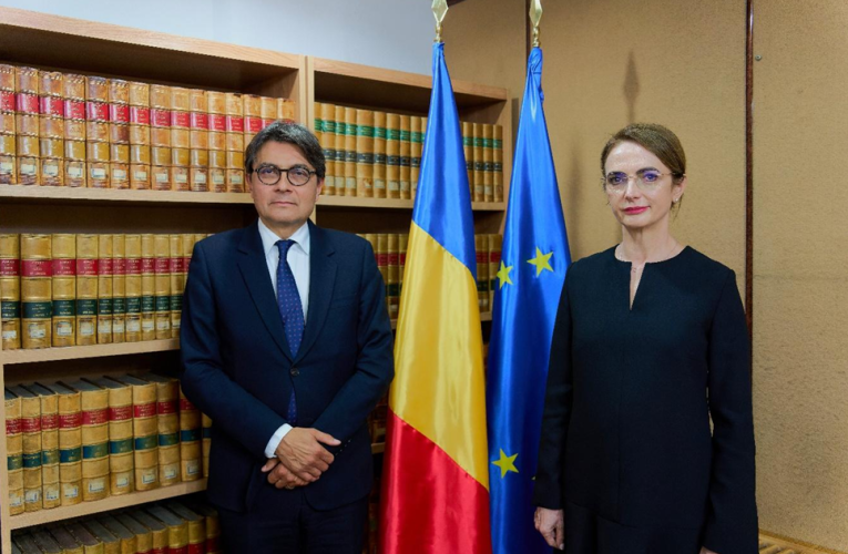 Lia Savonea, avertisment în fața șefului CEDO: „Nu mai vorbim de reforme, ci de risc sistemic”