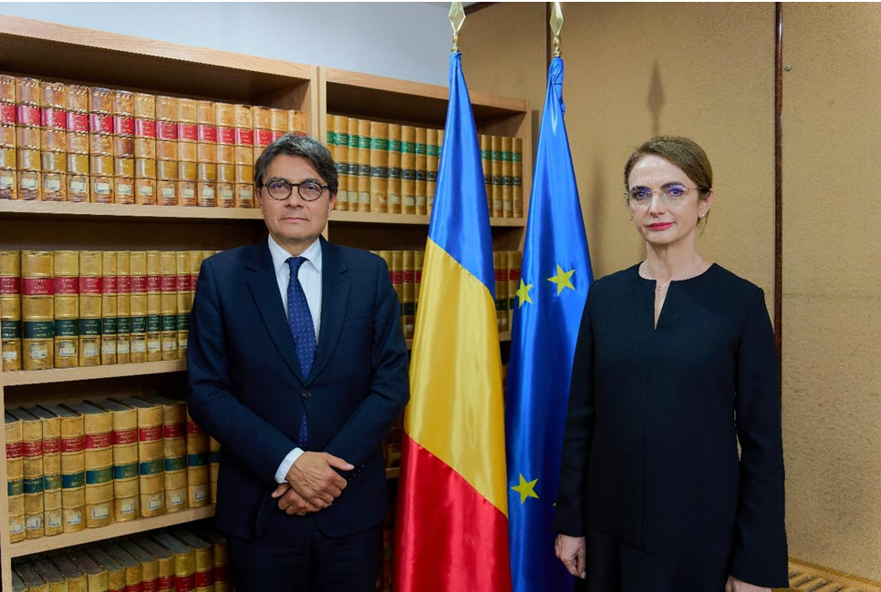 Lia Savonea, avertisment în fața șefului CEDO: „Nu mai vorbim de reforme, ci de risc sistemic”