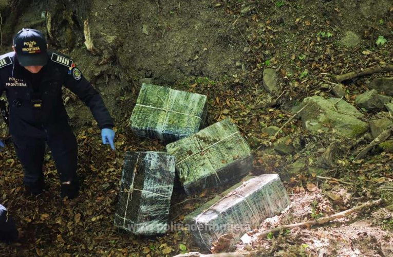 Maramureș: Mii de pachete de țigări ascunse în pădure și în mobilier