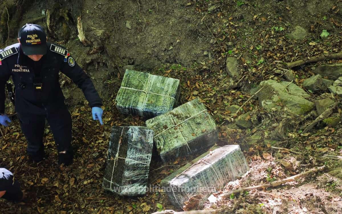 Maramureș: Mii de pachete de țigări ascunse în pădure și în mobilier
