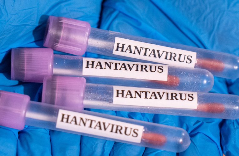 Medicul Adrian Marinescu, despre cazul de hantavirus de la Arad: „Nu se pune problema de transmitere de la om la om”
