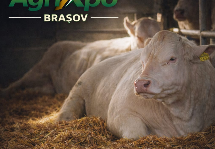 Mihaela Neagu: Agricultura prinde viață prin tehnologie, gust, tradiție și spectacol