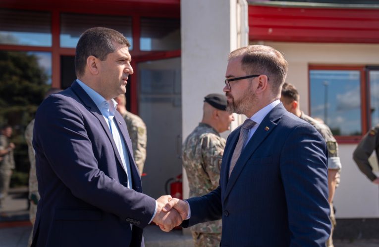 Miruță laudă profesionalismul militarilor români după reușitele pe Flancul Estic
