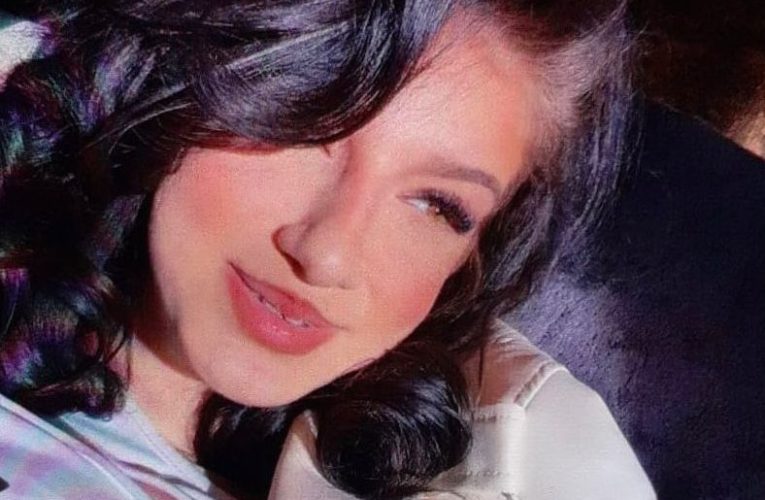 O adolescentă de 16 ani din Târgoviște a dispărut de acasă. Polițiștii o caută