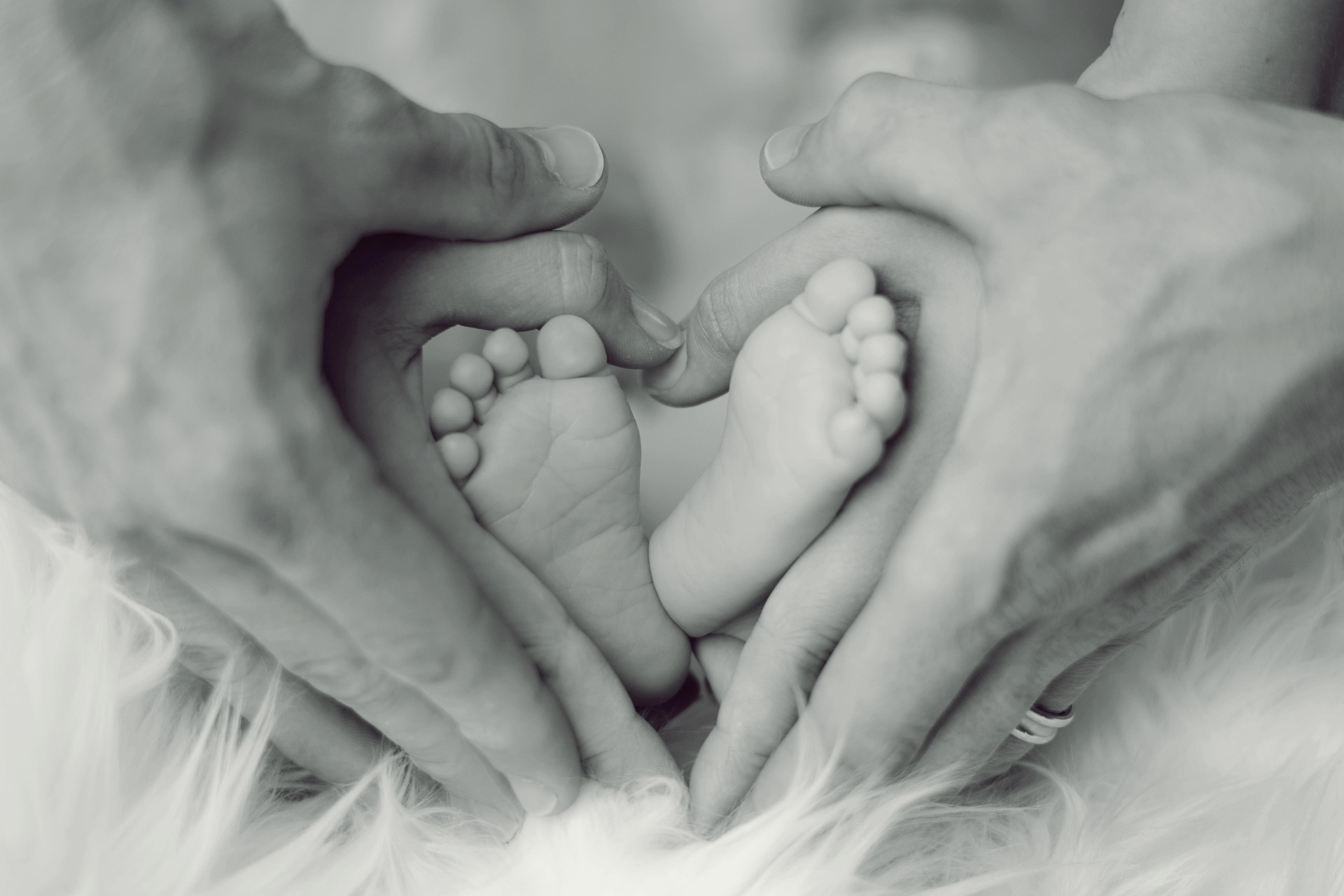 Oamenii și animalele se confruntă cu o criză ascunsă a fertilității, avertizează oamenii de știință