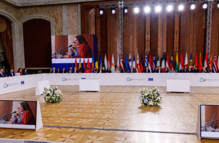 Oana Țoiu a coprezidat masa rotundă europeană pentru combaterea ingerințelor străine în alegeri