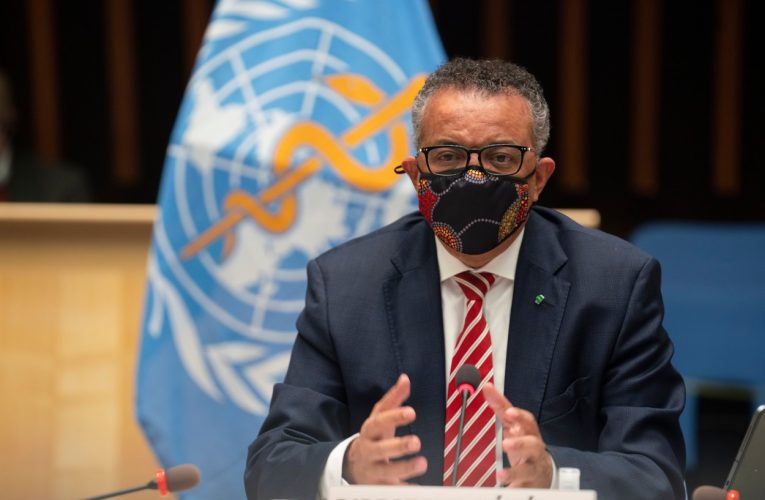 OMS cere statelor să se pregătească pentru noi cazuri de hantavirus, după focarul de pe MV Hondius