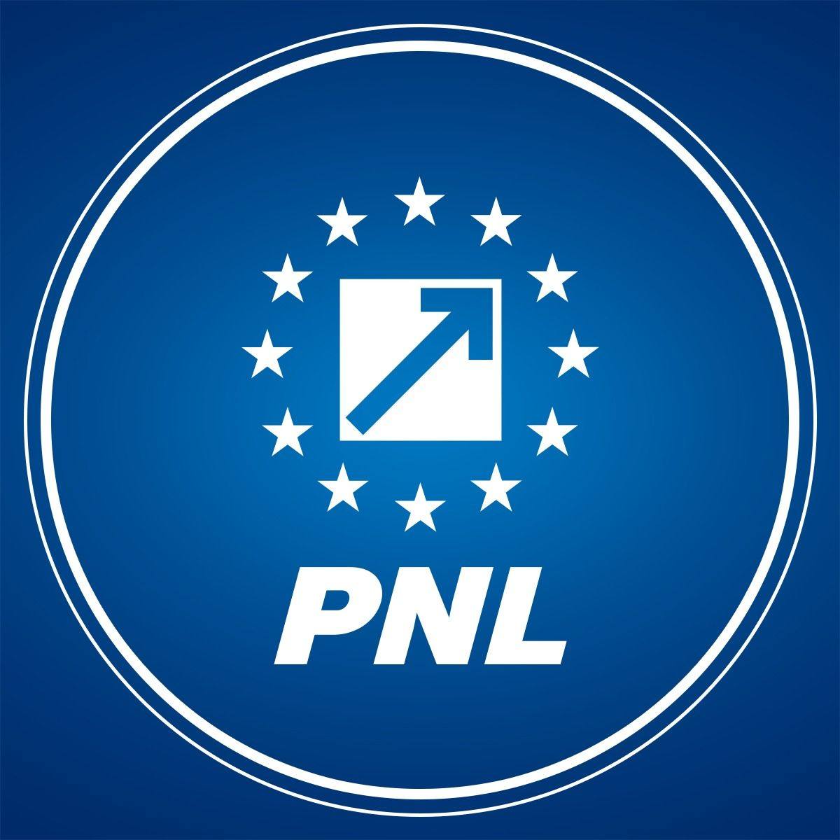PNL cere PSD să propună un premier sau să admită că nu poate conduce România: Când înlături o soluție existentă, tu trebuie să fii următoarea soluție