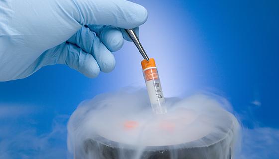 Premieră medicală: Fertilitatea ar putea fi restaurată chiar și în cazuri considerate ireversibile