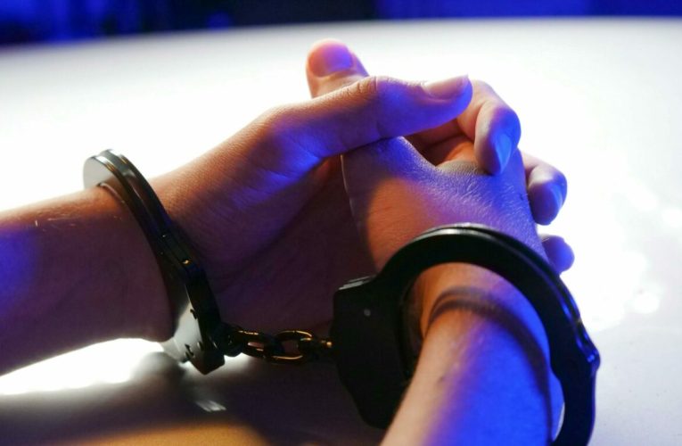 Rusia: O femeie, condamnată la muncă forțată pentru o carte cu personaje LGBT