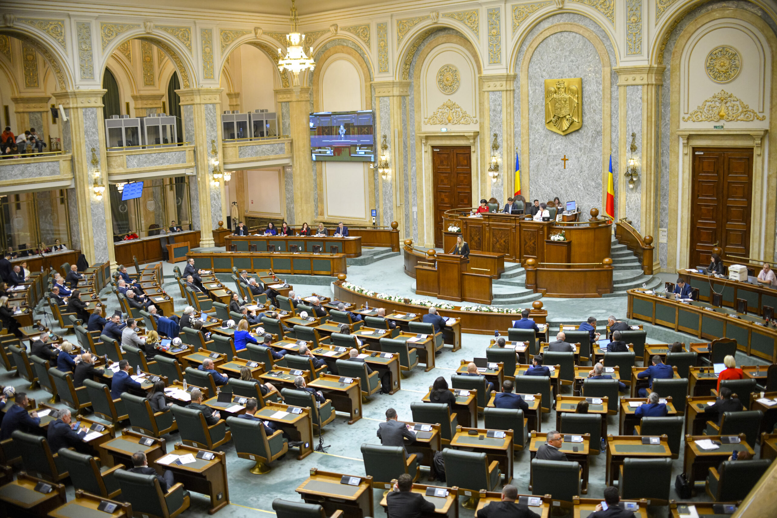 Senatul a respins proiectul USR pentru transparentizarea concursurilor din spitale