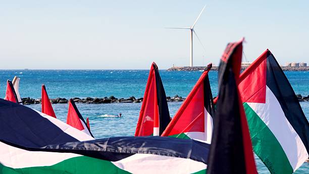 Spania și Brazilia condamnă răpirea a doi activiști ai flotilei din Gaza de către Israel