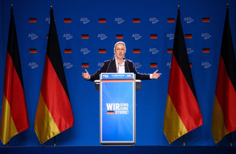 Un apropiat al lui Putin numește partidul de extremă dreapta AfD „speranța germanilor”