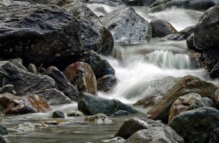 Un studiu dezvăluie că 80% din râurile de pe Pământ își pierd rapid oxigenul