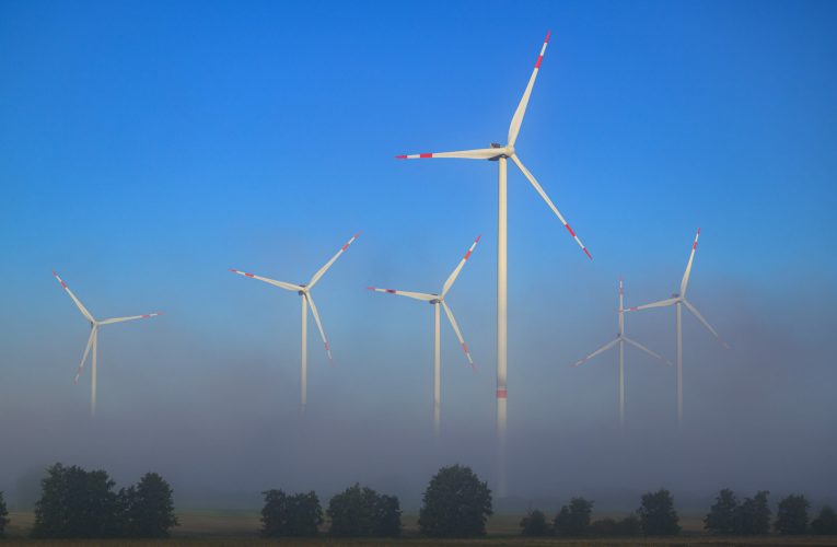 Unul dintre cei mai mari producători europeni de turbine eoliene cere blocarea rivalilor „non-occidentali” pe piața UE