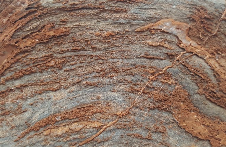 Urme de viață de peste 20.000 de ani, descoperite sub un crater de asteroid