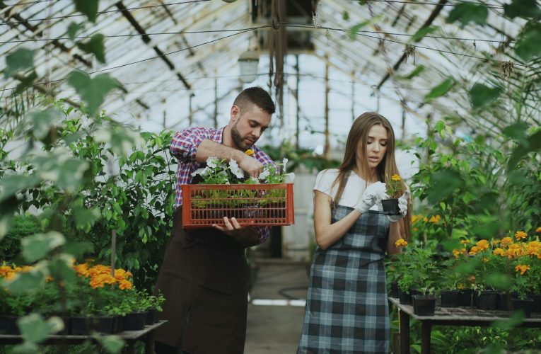 Zilele Horticulturii Bucureștene. Peste 120 de producători locali și expozanți, prezenți