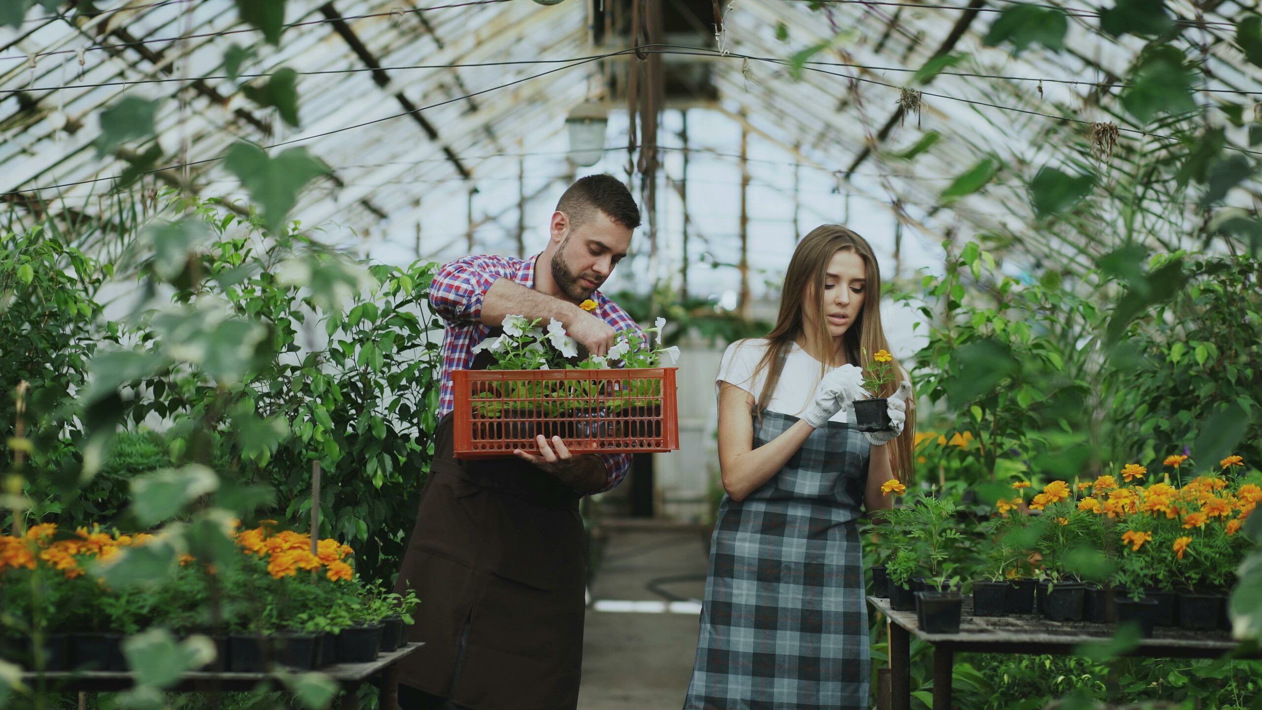 Zilele Horticulturii Bucureștene. Peste 120 de producători locali și expozanți, prezenți