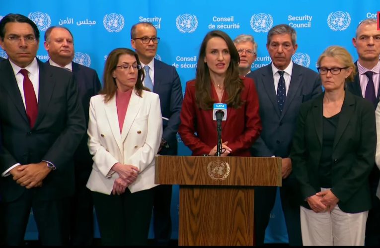 A început sesiunea de după-amiază a Consiliului de Securitate al ONU, convocată după incidentul de la Galați / Oana Țoiu a criticat Rusia