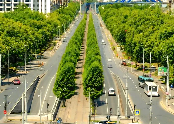 Calea Văcărești se transformă în coridor verde. Lucrările încep în noaptea aceasta
