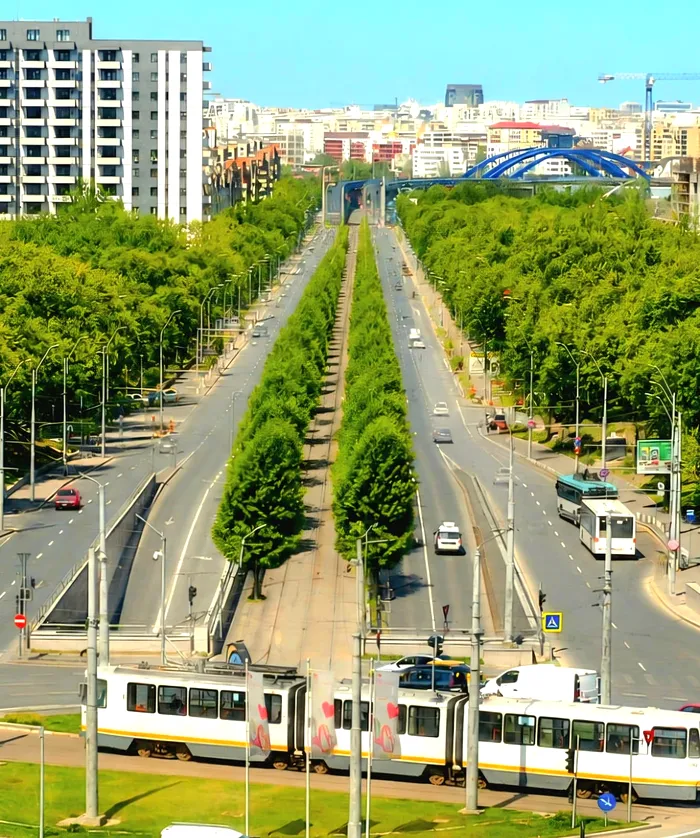 Calea Văcărești se transformă în coridor verde. Lucrările încep în noaptea aceasta
